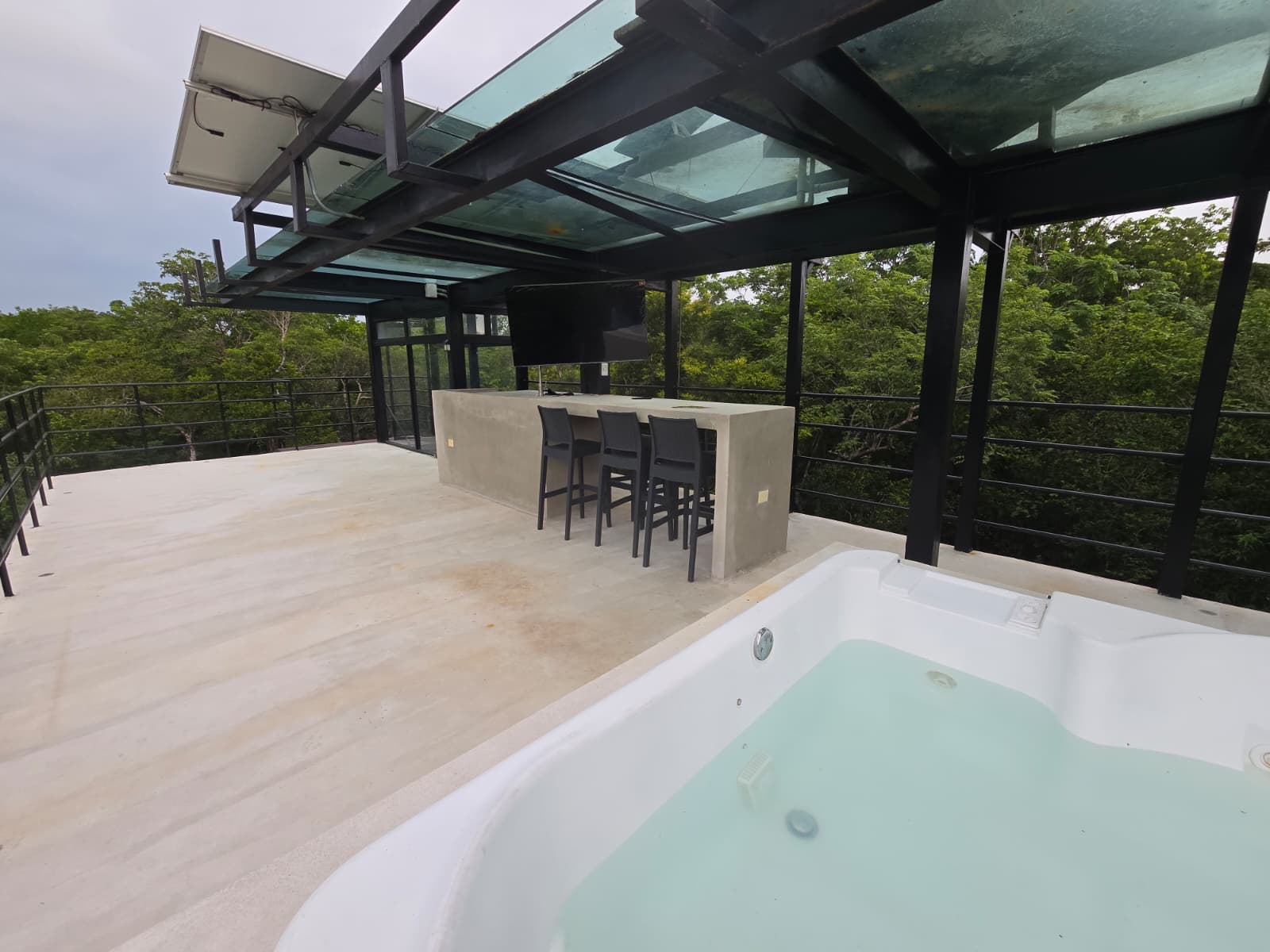 Jungle Glass House