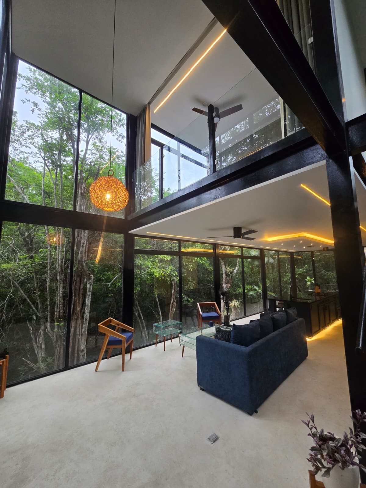 Jungle Glass House
