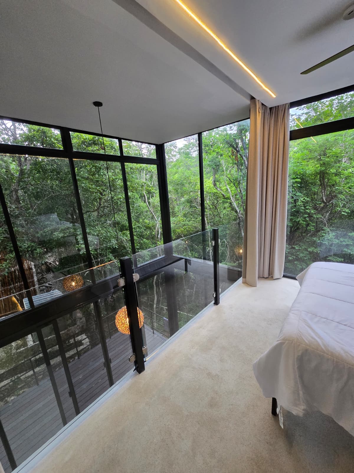Jungle Glass House