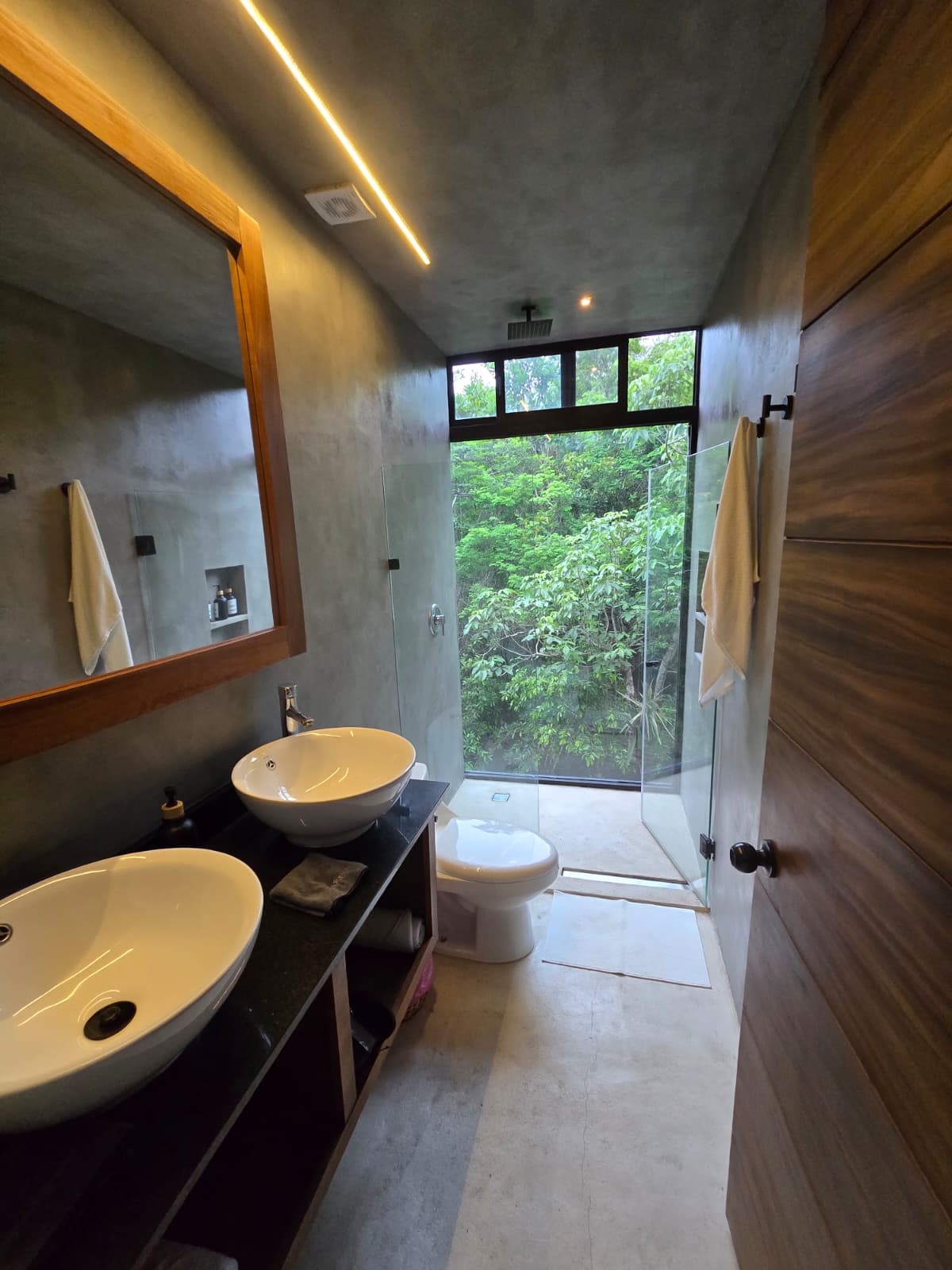 Jungle Glass House