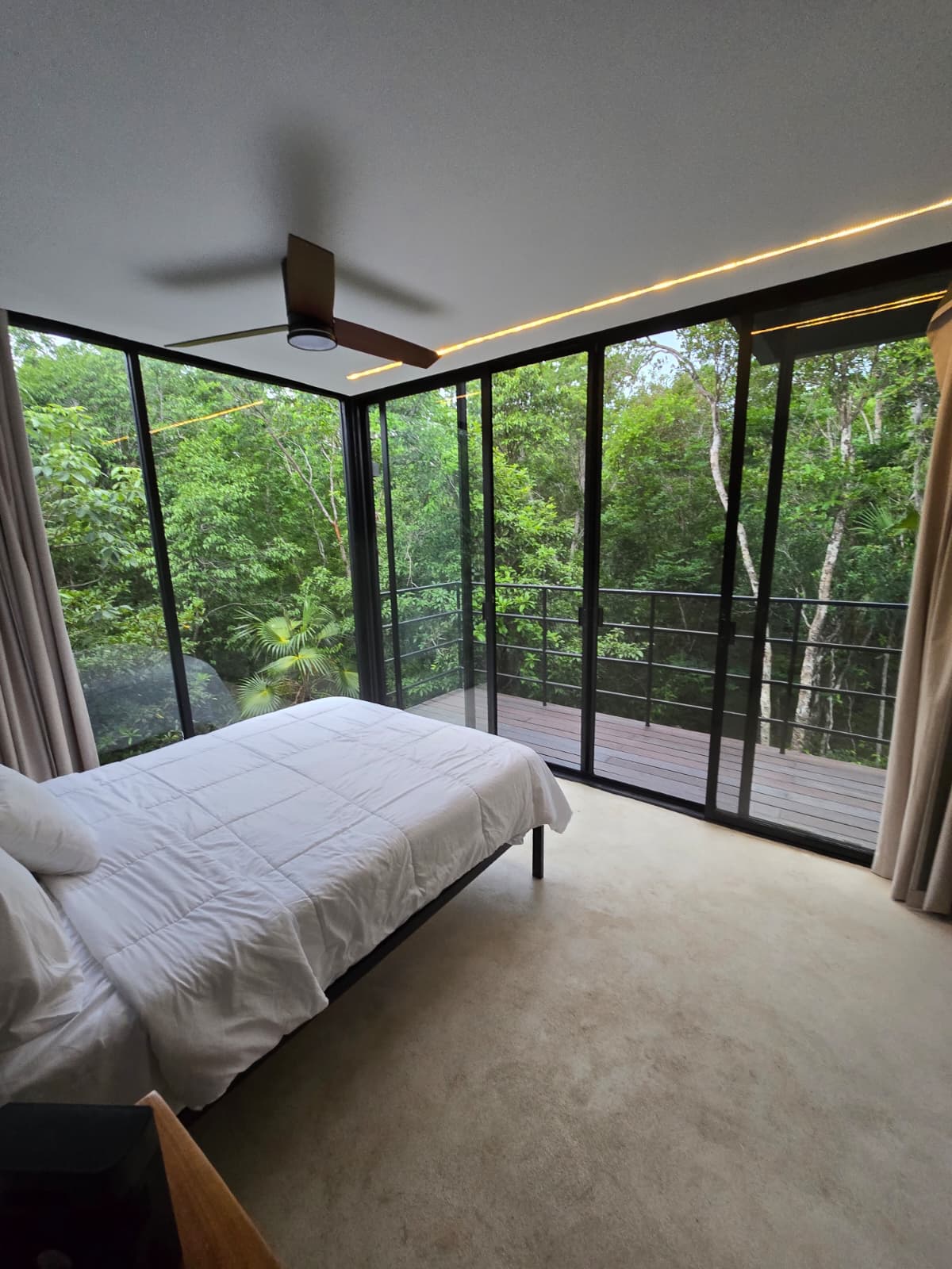 Jungle Glass House