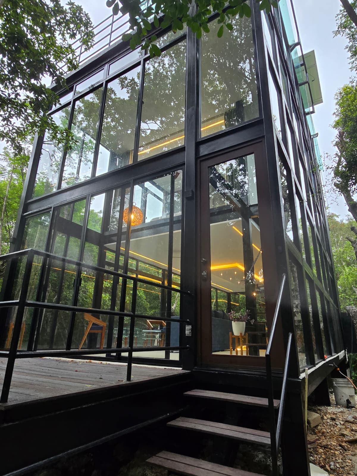 Jungle Glass House
