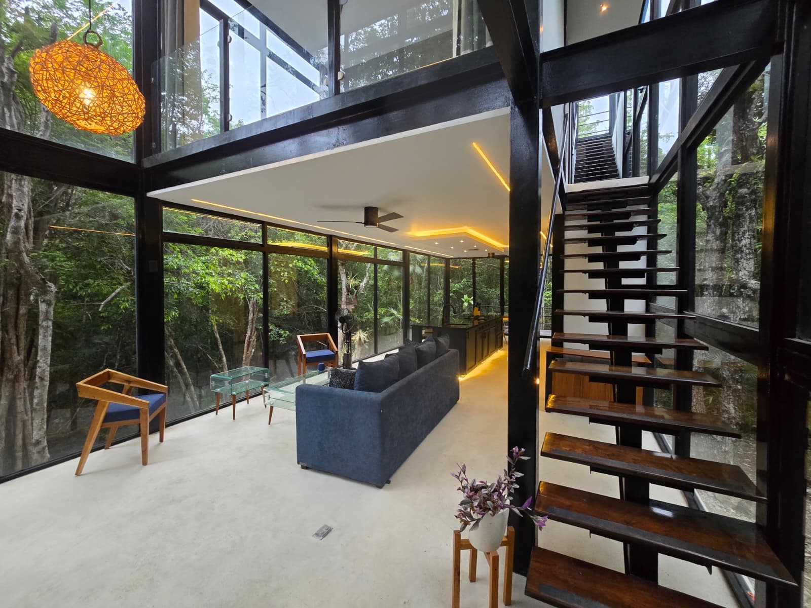Jungle Glass House