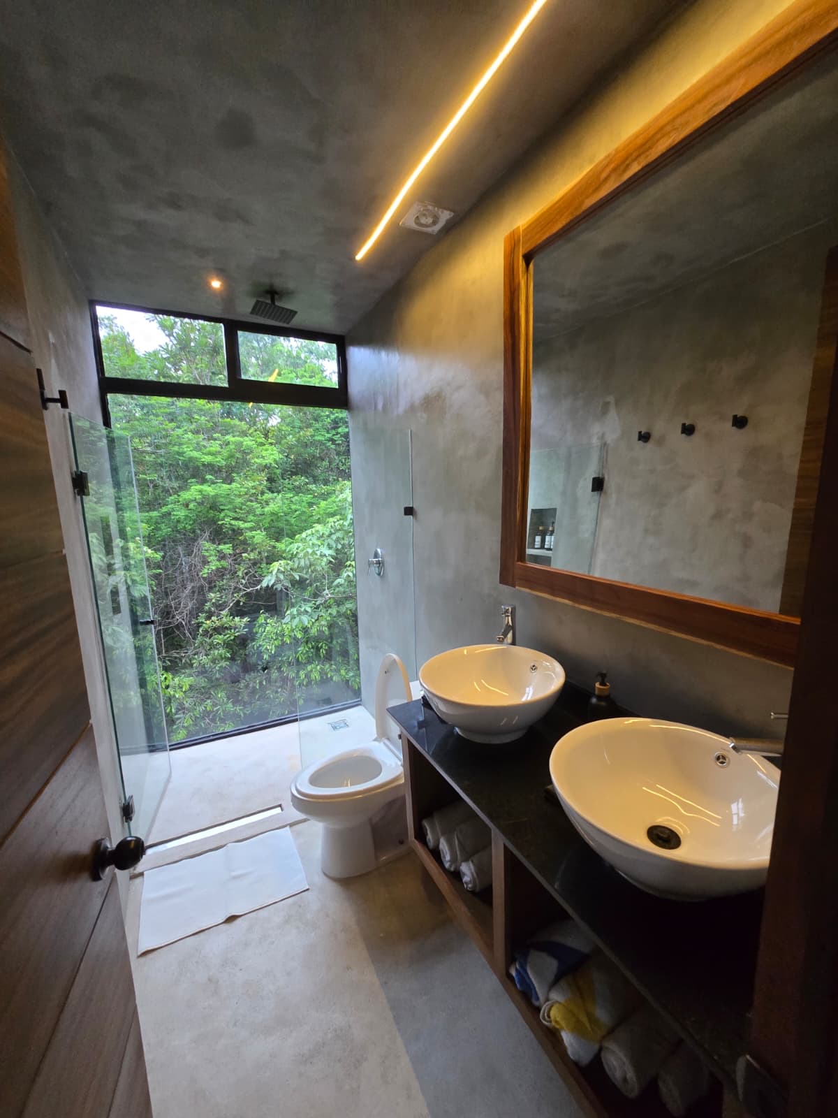 Jungle Glass House